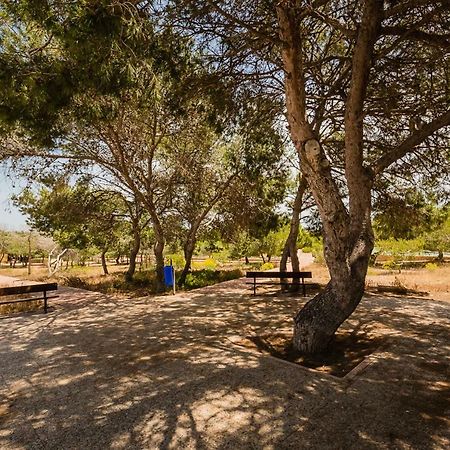Apartament "Parque Mar" 라 마타 외부 사진